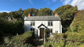 PP in Lymington photo